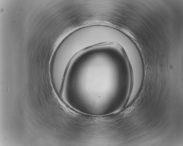 X0000057061430200509231520