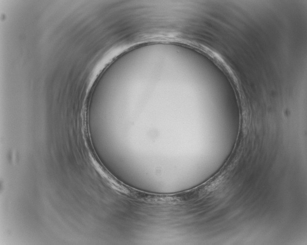 X0000057061432200509231520