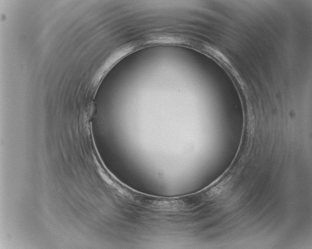 X0000057061433200509231520