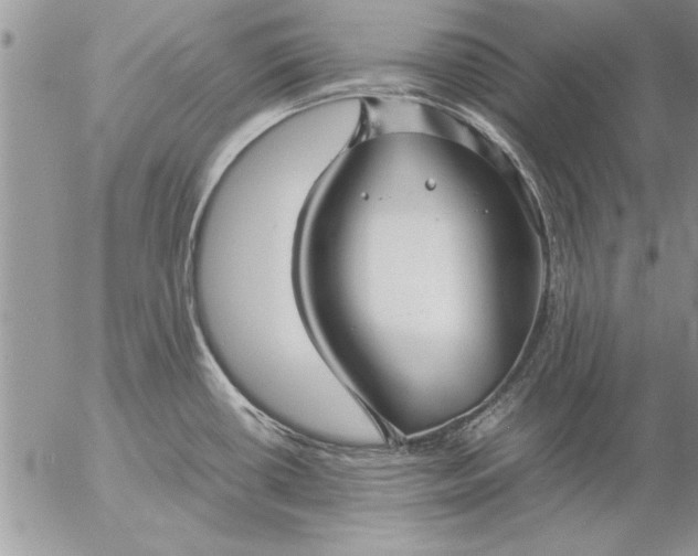 X0000057061434200509231520