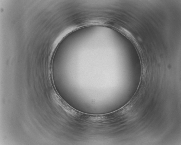 X0000057061435200509231520