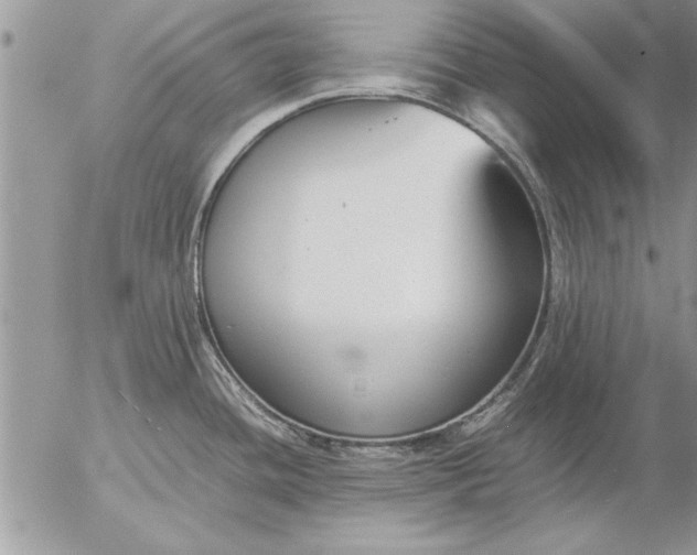 X0000057061436200509231520