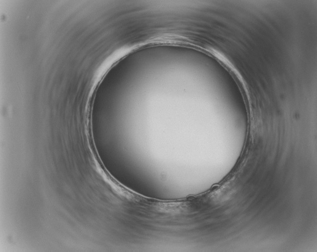 X0000057061437200509231520