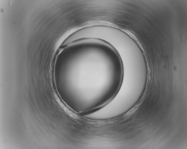 X0000057061438200509231520