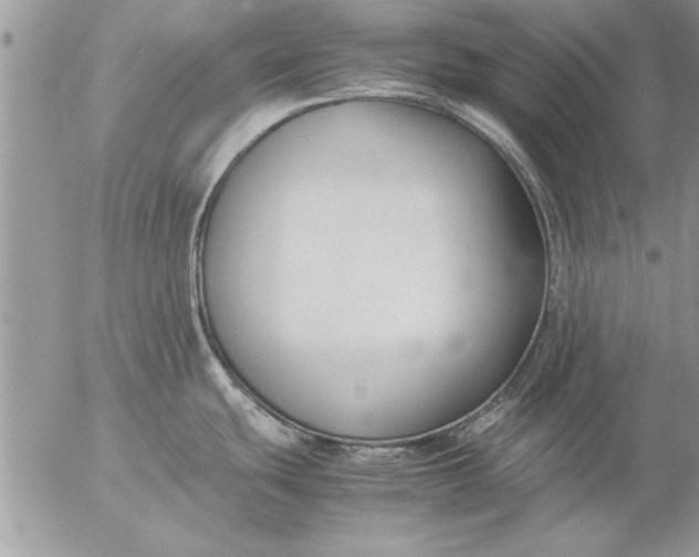 X0000057061439200509231521