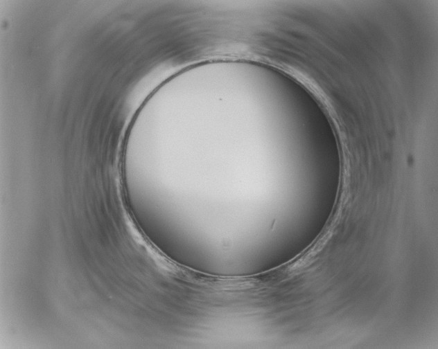 X0000057061440200509231521