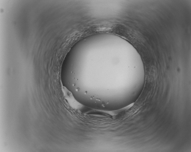 X0000057061441200509231520