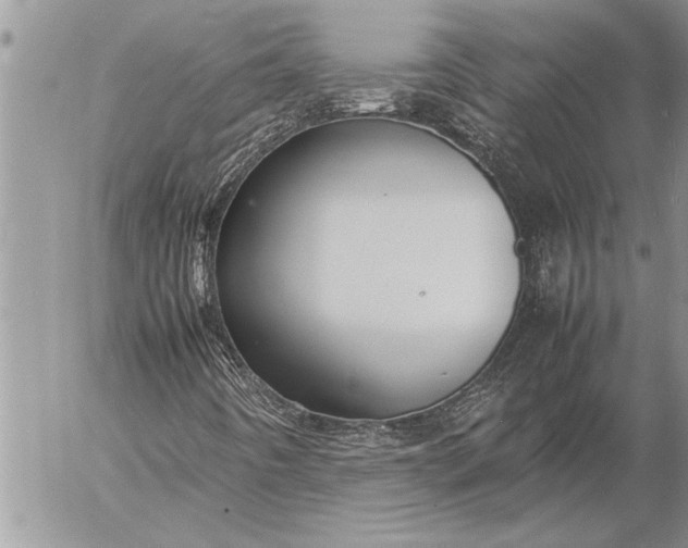 X0000057061442200509231520