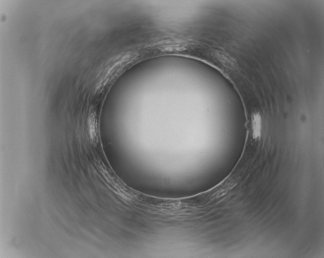 X0000057061444200509231520