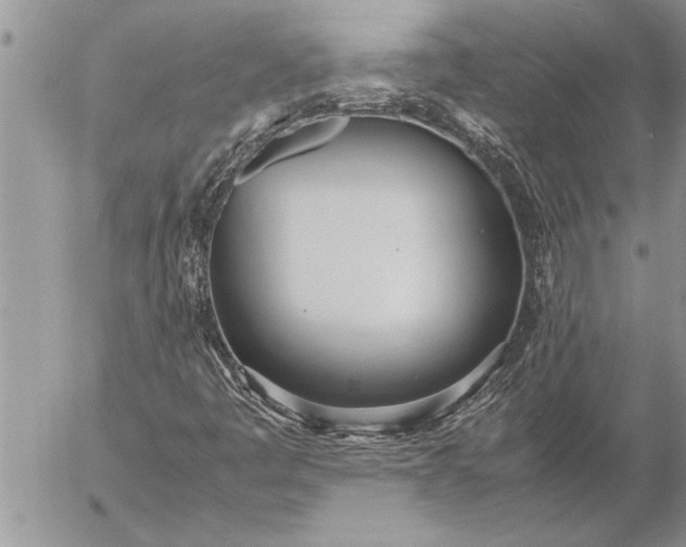 X0000057061445200509231520