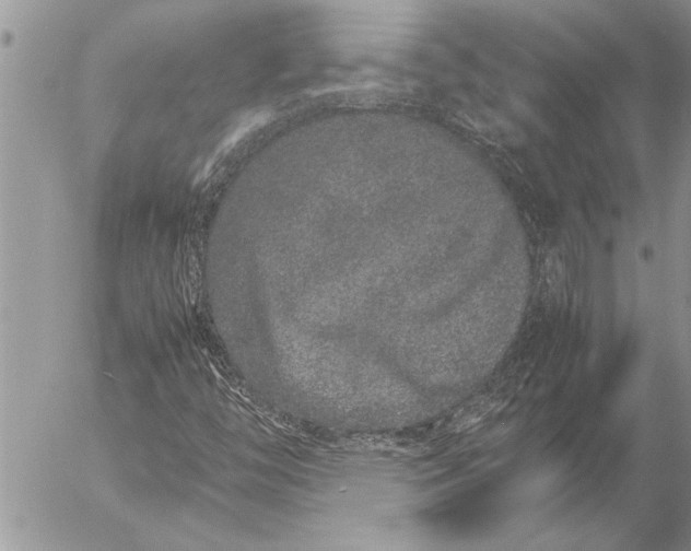 X0000057061446200509231520