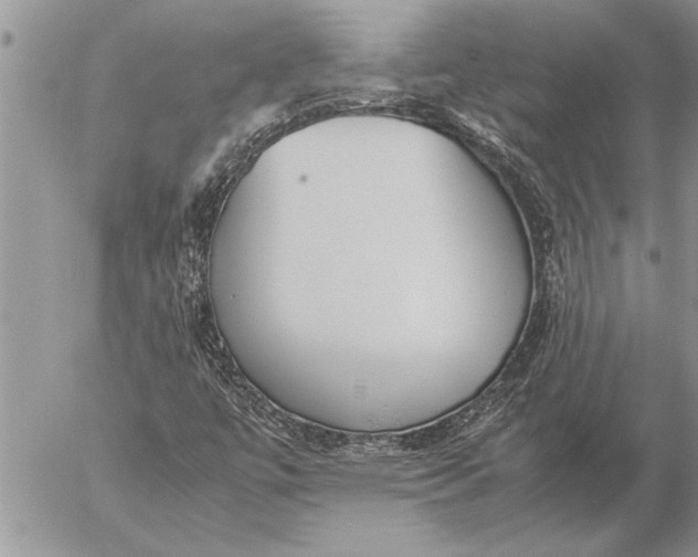 X0000057061447200509231520