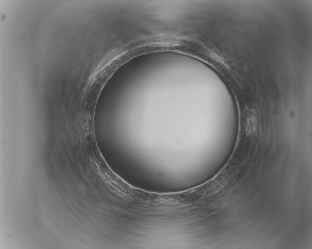 X0000057061448200509231520