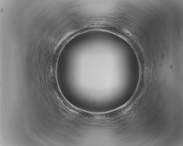 X0000057061449200509231520