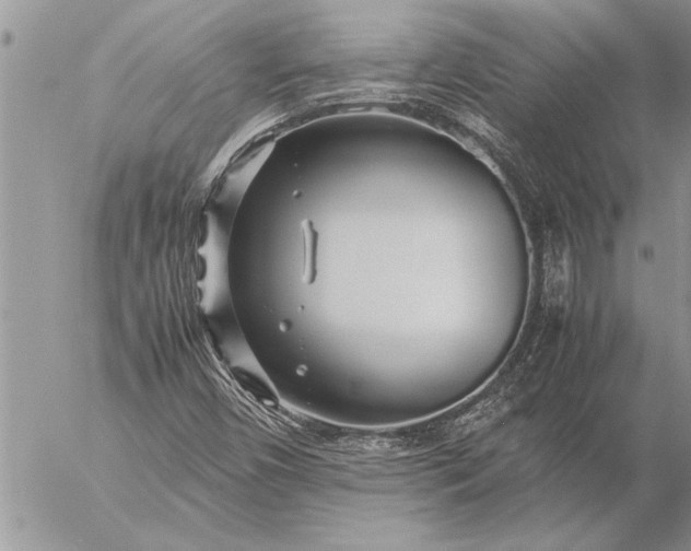 X0000057061450200509231520