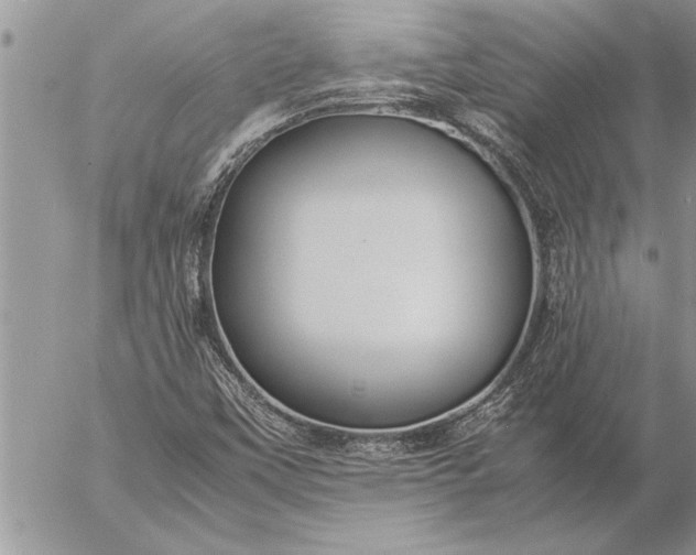 X0000057061451200509231520