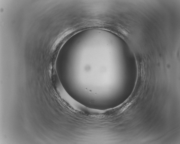 X0000057061453200509231520