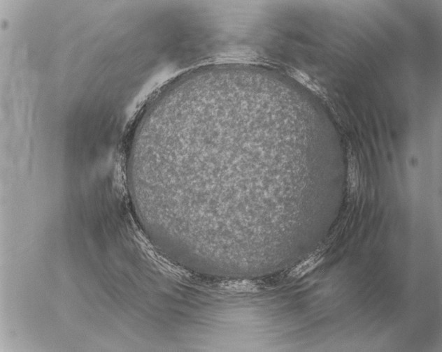 X0000057061454200509231520