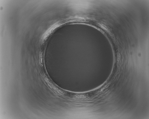 X0000057061455200509231519