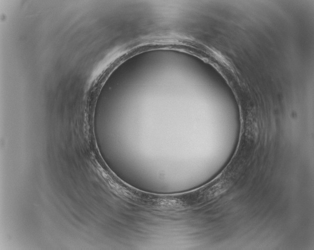 X0000057061456200509231519