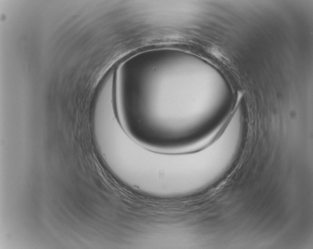 X0000057061457200509231519