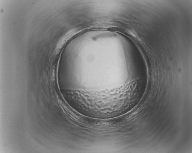 X0000057061459200509231519