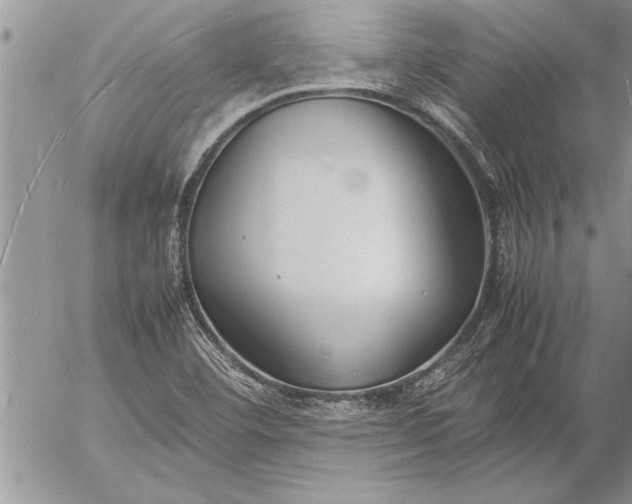 X0000057061460200509231519