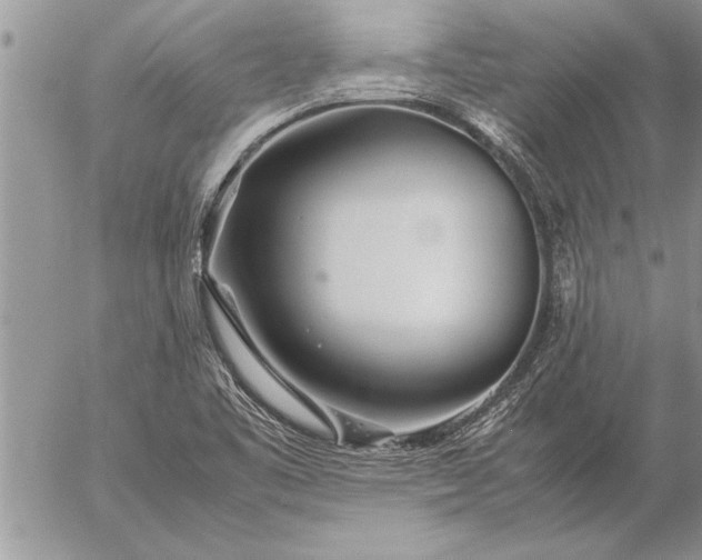 X0000057061461200509231519