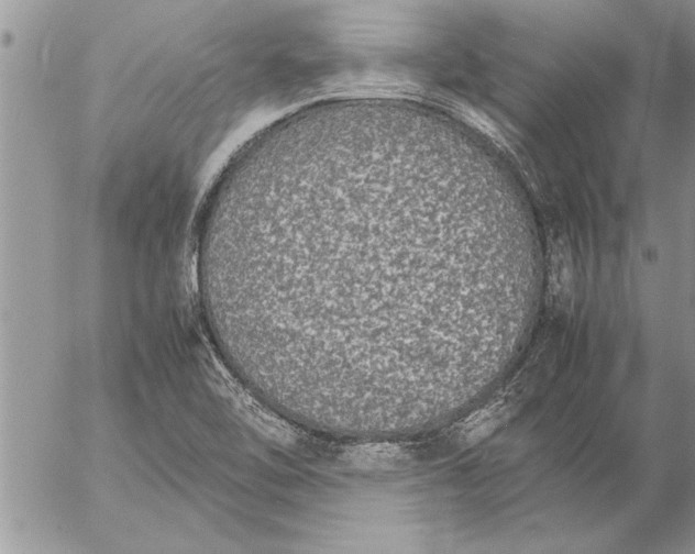 X0000057061462200509231519