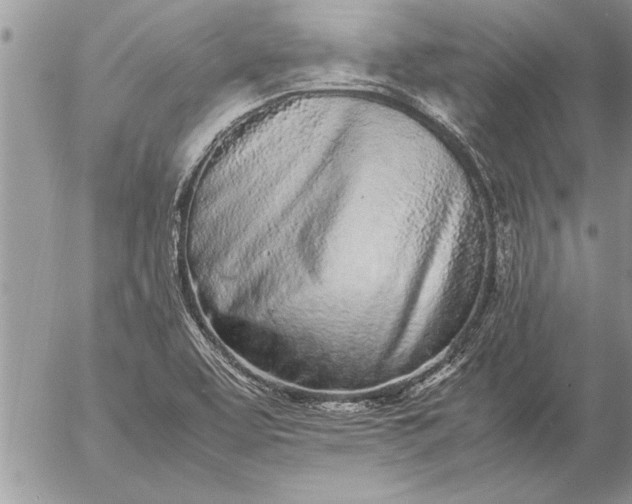 X0000057061463200509231519