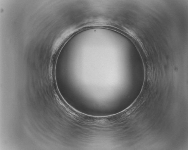 X0000057061464200509231519