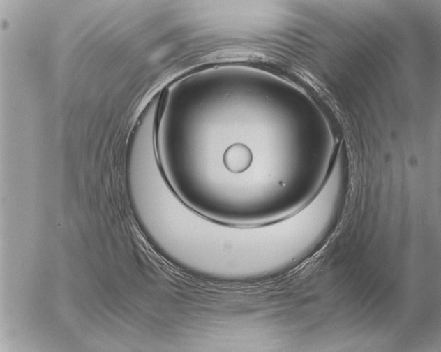 X0000057061465200509231519