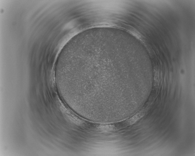 X0000057061466200509231519