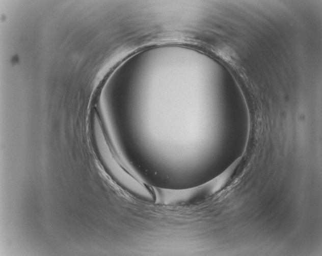 X0000057061469200509231519