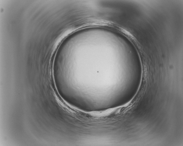 X0000057061471200509231519