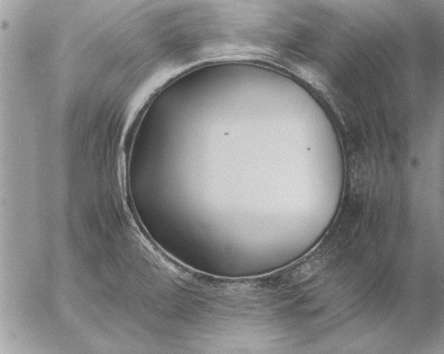 X0000057061472200509231519