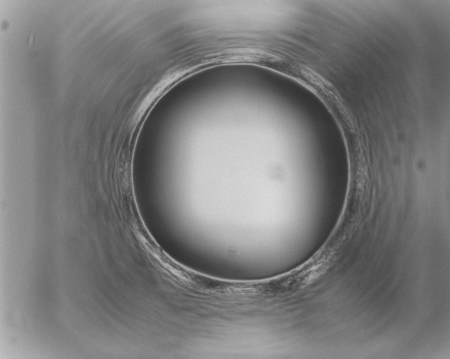 X0000057061473200509231519