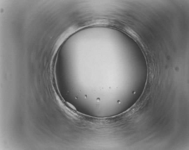 X0000057061475200509231519