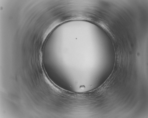 X0000057061476200509231519