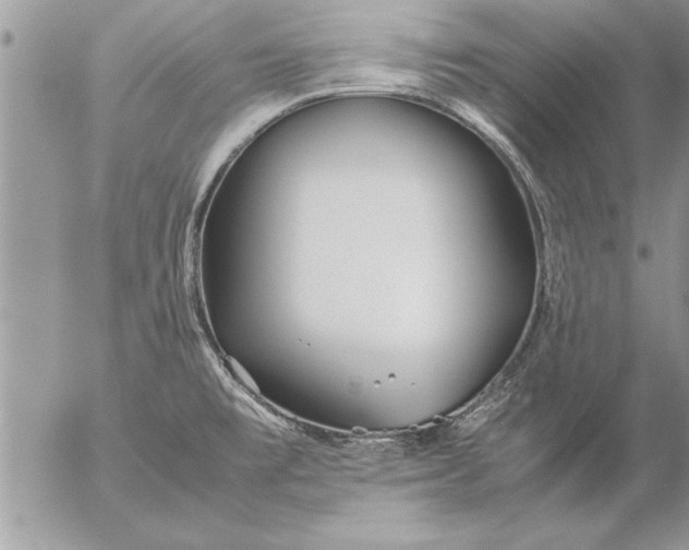 X0000057061477200509231519