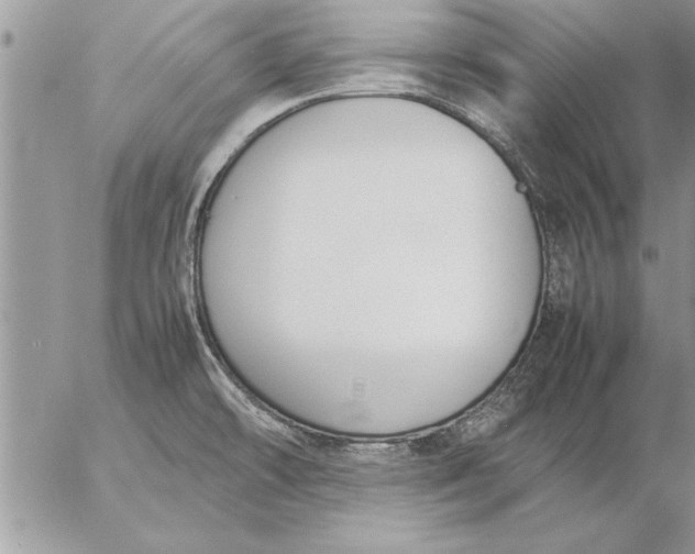 X0000057061478200509231519