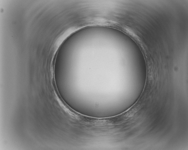 X0000057061479200509231519