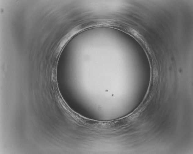 X0000057061481200509231519