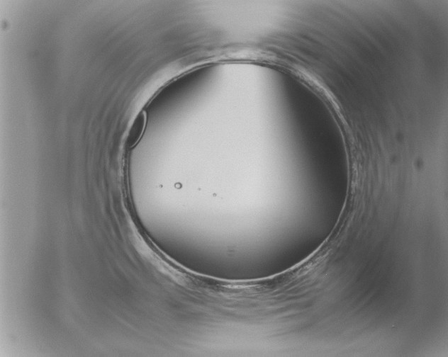 X0000057061483200509231519