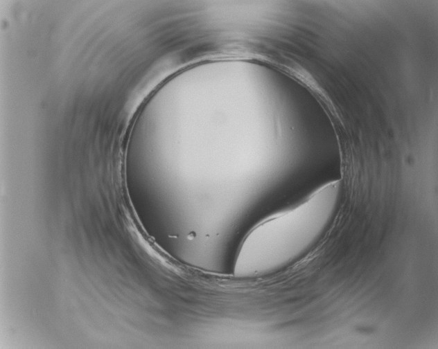 X0000057061484200509231519