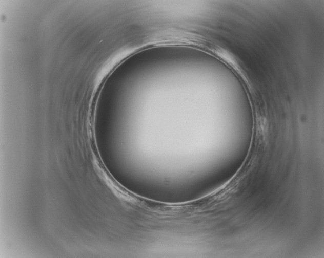 X0000057061485200509231519