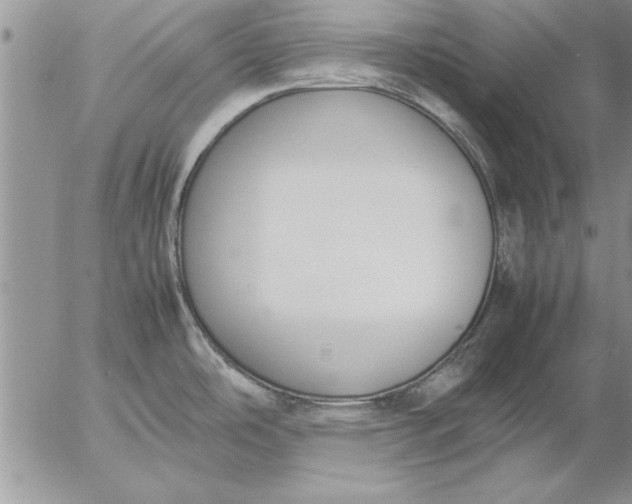 X0000057061486200509231519