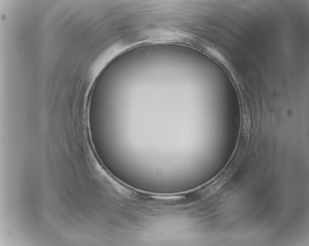 X0000057061487200509231519