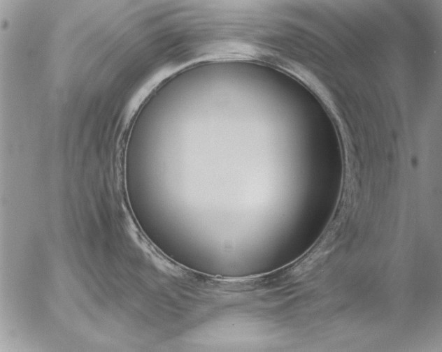 X0000057061488200509231519