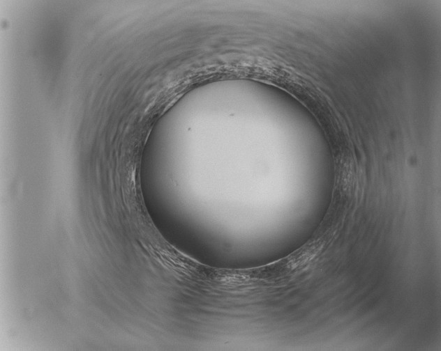 X0000057061489200509231518